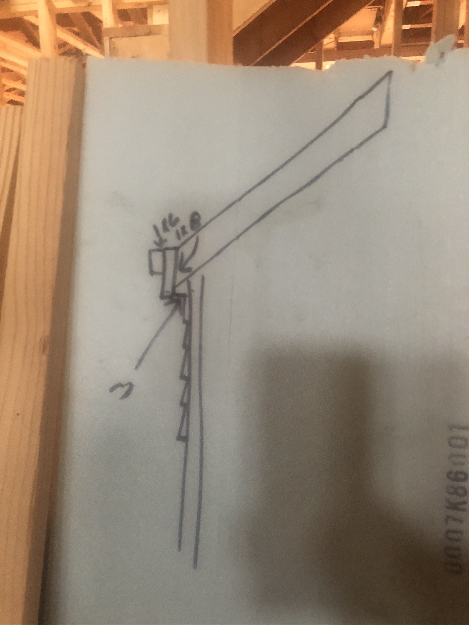 18.jpeg